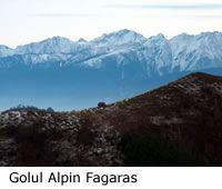 Parcul Natural - Golul Alpin al Muntilor Fagaras